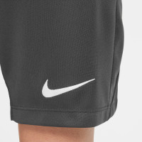 Nike Liverpool Academy Pro Short d'Entraînement 2024-2025 Enfants Gris Foncé Blanc