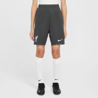 Nike Liverpool Academy Pro Short d'Entraînement 2024-2025 Enfants Gris Foncé Blanc