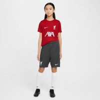 Nike Liverpool Academy Pro Short d'Entraînement 2024-2025 Enfants Gris Foncé Blanc