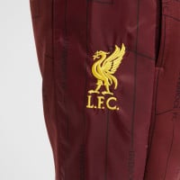 Nike Liverpool Strike Survêtement à Capuche Full-Zip 2024-2025 Enfants Bordeaux Jaune