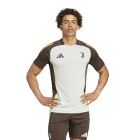 adidas Juventus Trainingsset Europees 2024-2025 Grijs Olijfgroen Geel