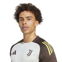 adidas Juventus Trainingsset Europees 2024-2025 Grijs Olijfgroen Geel