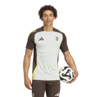 adidas Juventus Trainingsset Europees 2024-2025 Grijs Olijfgroen Geel