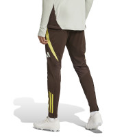 adidas Juventus Pantalon d'Entraînement Europe 2024-2025 Brun Jaune