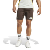 adidas Juventus Trainingsset Europees 2024-2025 Grijs Bruin Geel