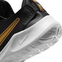 Nike Flex Runner 3 Hardloopschoenen Kids Zwart Goud Wit