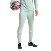 PUMA AC Milan Survêtement 1/4-Zip 2024-2025 Vert Gris Rose Clair