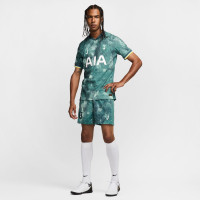 Nike Tottenham Hotspur 3e Maillot Authentic 2024-2025