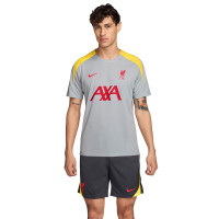 Nike Liverpool Strike Ensemble Training 2024-2025 Gris Gris Foncé Jaune Rouge