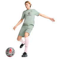 PUMA AC Milan Maillot d'Entraînement 2024-2025 Vert Gris Rose Clair