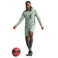 PUMA AC Milan Survêtement 1/4-Zip 2024-2025 Vert Gris Rose Clair