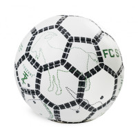 Football de rue Touzani FC Street Taille 5 blanc noir vert