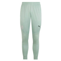 PUMA AC Milan Pantalon d'Entraînement 2024-2025 Vert-Gris Rose Gris Foncé