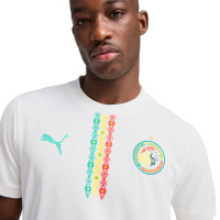 PUMA Senegal Thuisshirt 2024-2026