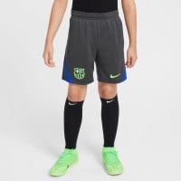 Nike FC Barcelone Strike Short d'Entraînement 2024-2025 Enfants Gris Foncé Vert Clair Bleu