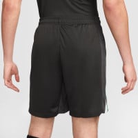 Nike Liverpool Short Extérieur 2024-2025