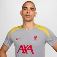 Nike Liverpool Strike Trainingsset 2024-2025 Grijs Donkergrijs Geel Rood