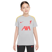 Nike Liverpool Strike Maillot d'Entraînement 2024-2025 Enfants Gris Jaune Rouge