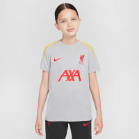 Nike Liverpool Strike Ensemble Training 2024-2025 Enfants Gris Gris Foncé Jaune Rouge