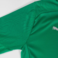 PUMA Maroc Survêtement 1/4-Zip 2024-2026 Vert Noir Argenté