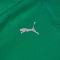 PUMA Maroc Haut d'Entraînement 1/4-Zip 2024-2026 Enfants Vert Argenté