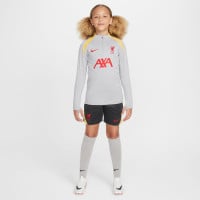 Nike Liverpool Strike Haut d'Entraînement 1/4-Zip 2024-2025 Enfants Gris Jaune Rouge