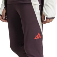 adidas Bayern Munich Pantalon d'Entraînement 2024-2025 Enfants Bordeaux Blanc Rouge