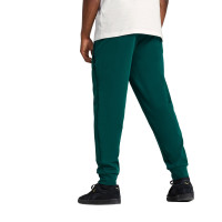 PUMA Portugal Pumatech Pantalon Woven 2025-2026 Vert Foncé Vert Blanc