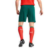 PUMA Portugal Short Domicile 2025-2026