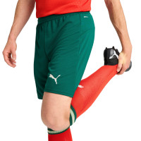 PUMA Portugal Short Domicile 2025-2026