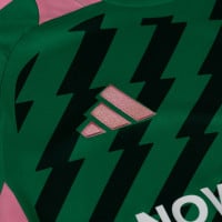 Maillot de football Adidas Masters of Madness FC Panic Attack, vert et rose