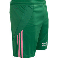 Maillot de football Adidas Masters of Madness FC Panic Attack, vert et rose