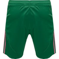 adidas Masters of Madness FC Paniekaanval Short Groen Roze