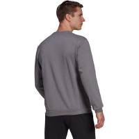 Pull à col rond adidas Entrada 22 gris et blanc