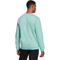 Pull à col rond adidas Entrada 22 blanc turquoise